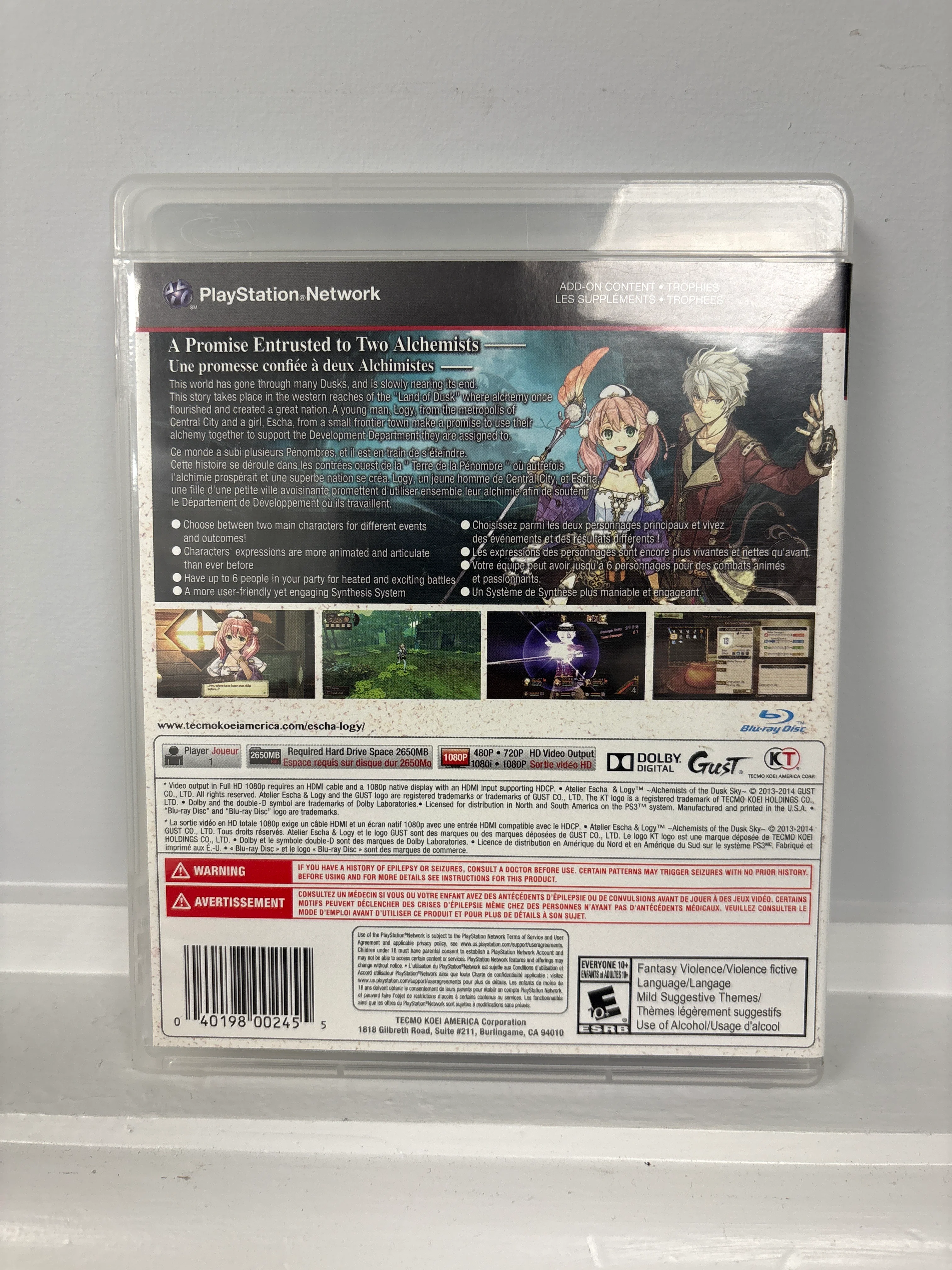Atelier Escha & Logy: Alchemists of the Dusk Sky - Playstation 3 - Image 2