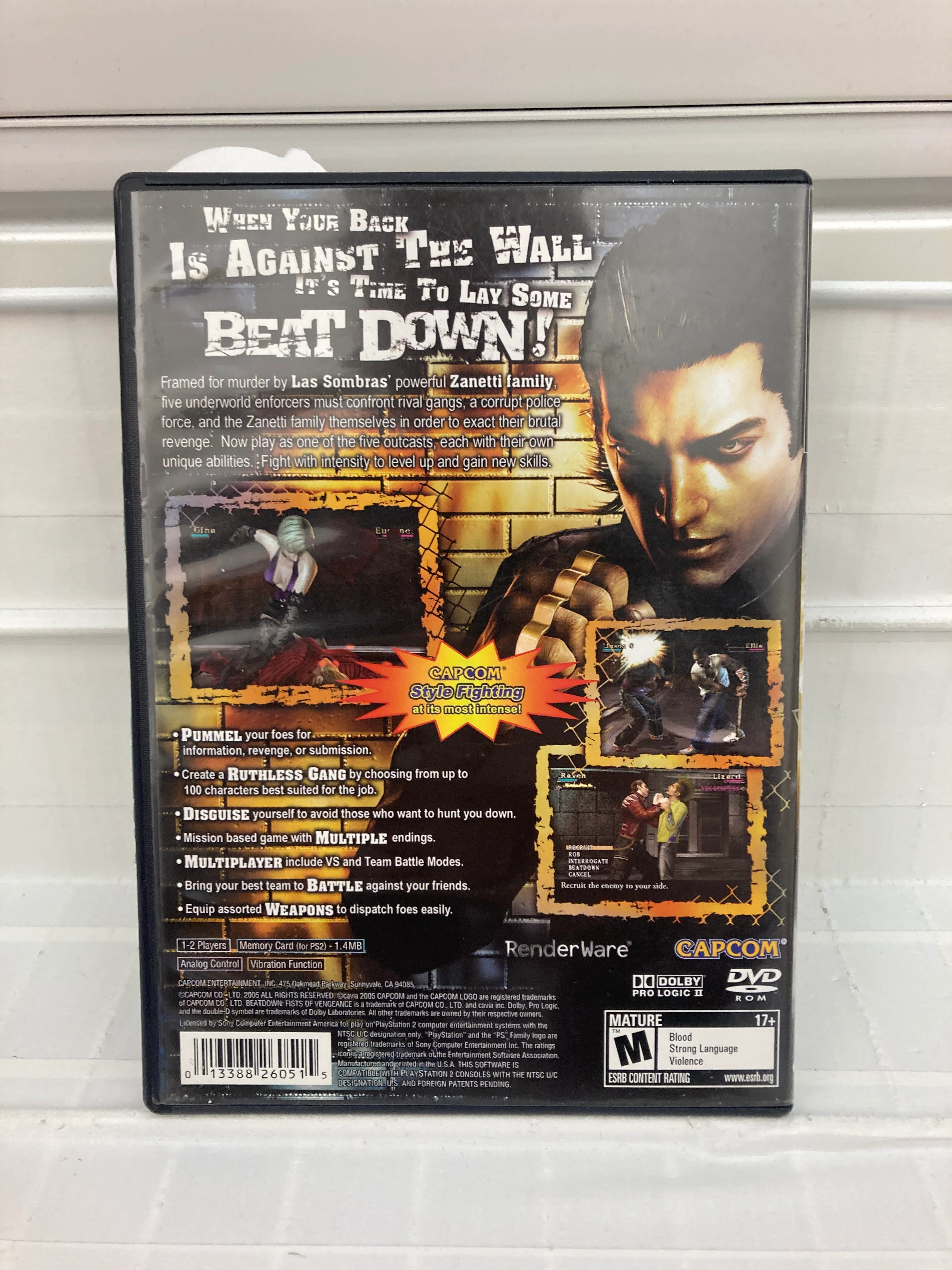 Beat Down Fists of Vengeance - Playstation 2 - Image 2