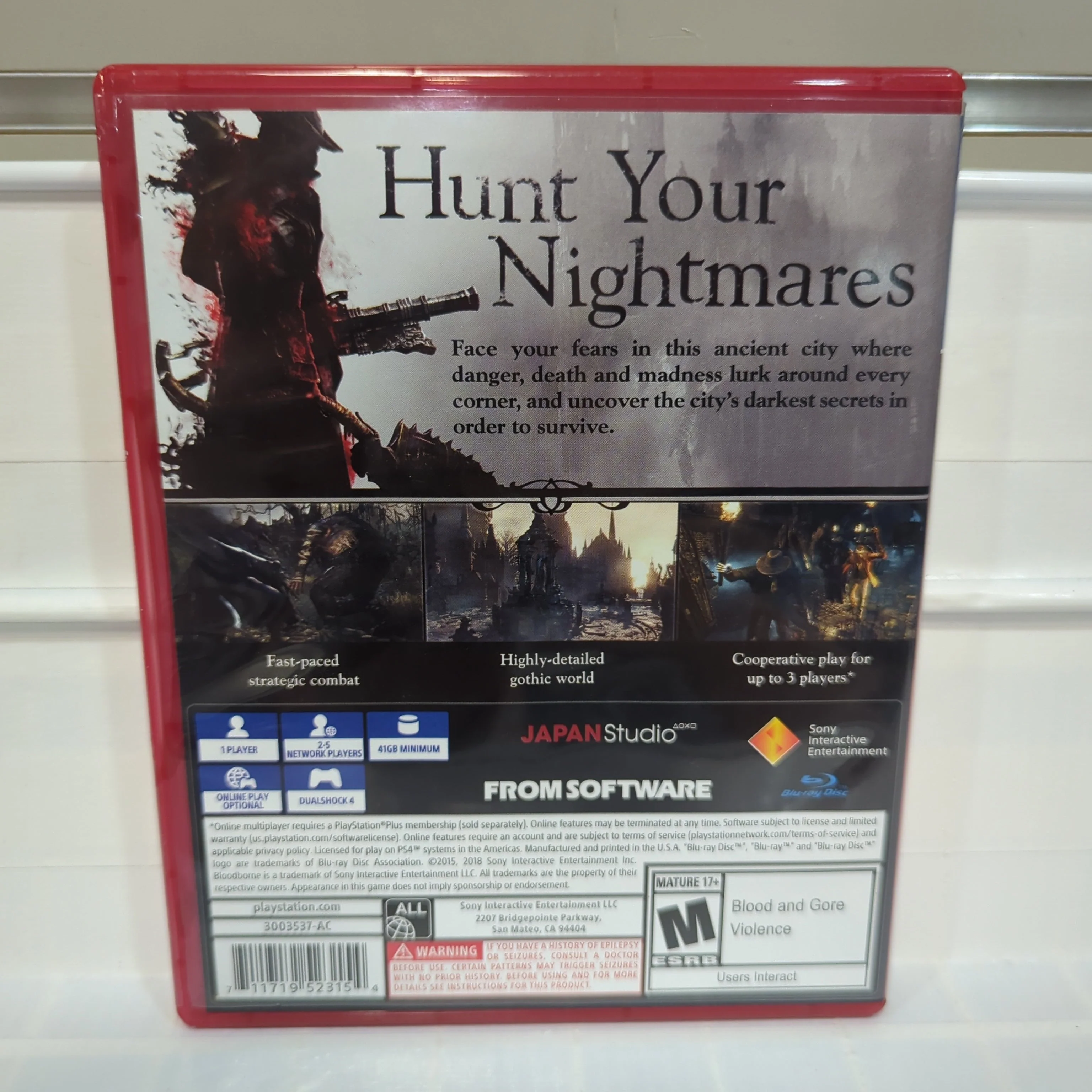 Bloodborne [PlayStation Hits] - Playstation 4 - Image 2