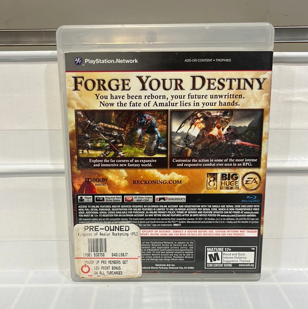 Kingdoms Of Amalur Reckoning - Playstation 3 - Image 2