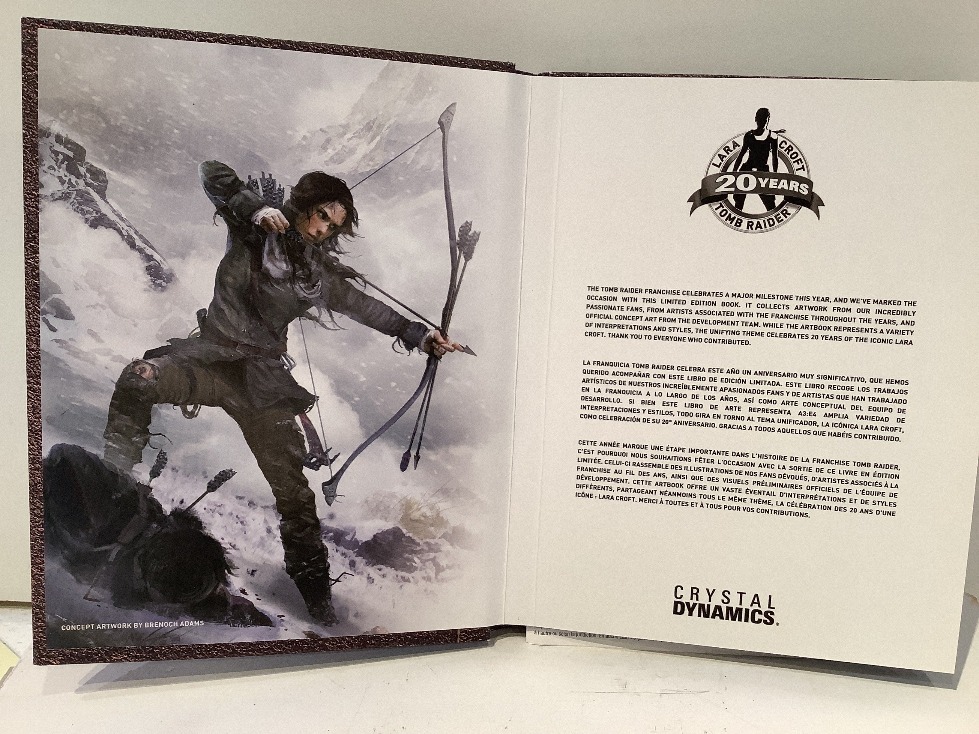 Rise of the Tomb Raider [Art Book Edition] - Playstation 4 - Image 3