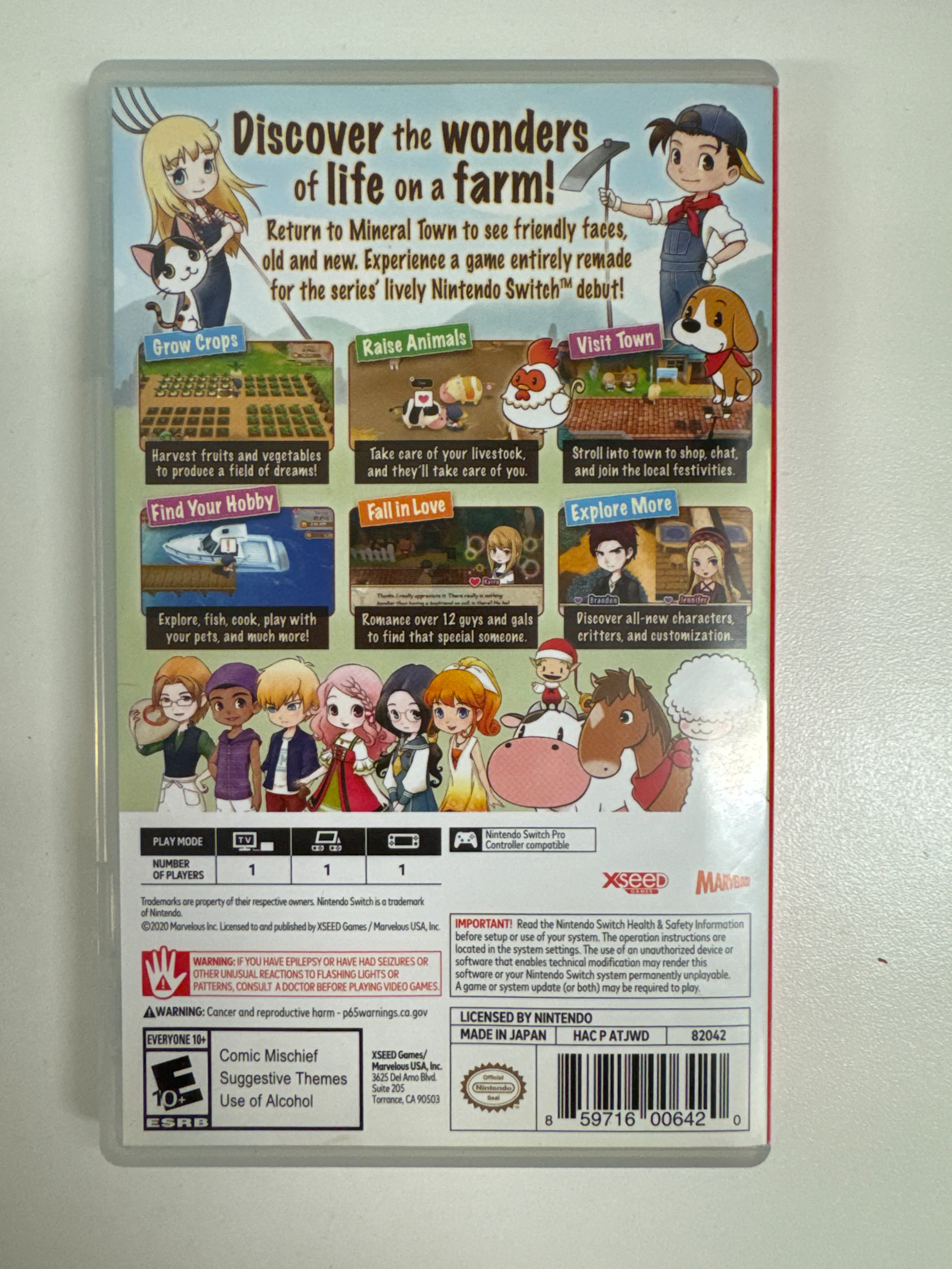 Story of Seasons: Friends of Mineral Town - Nintendo Switch - Image 2