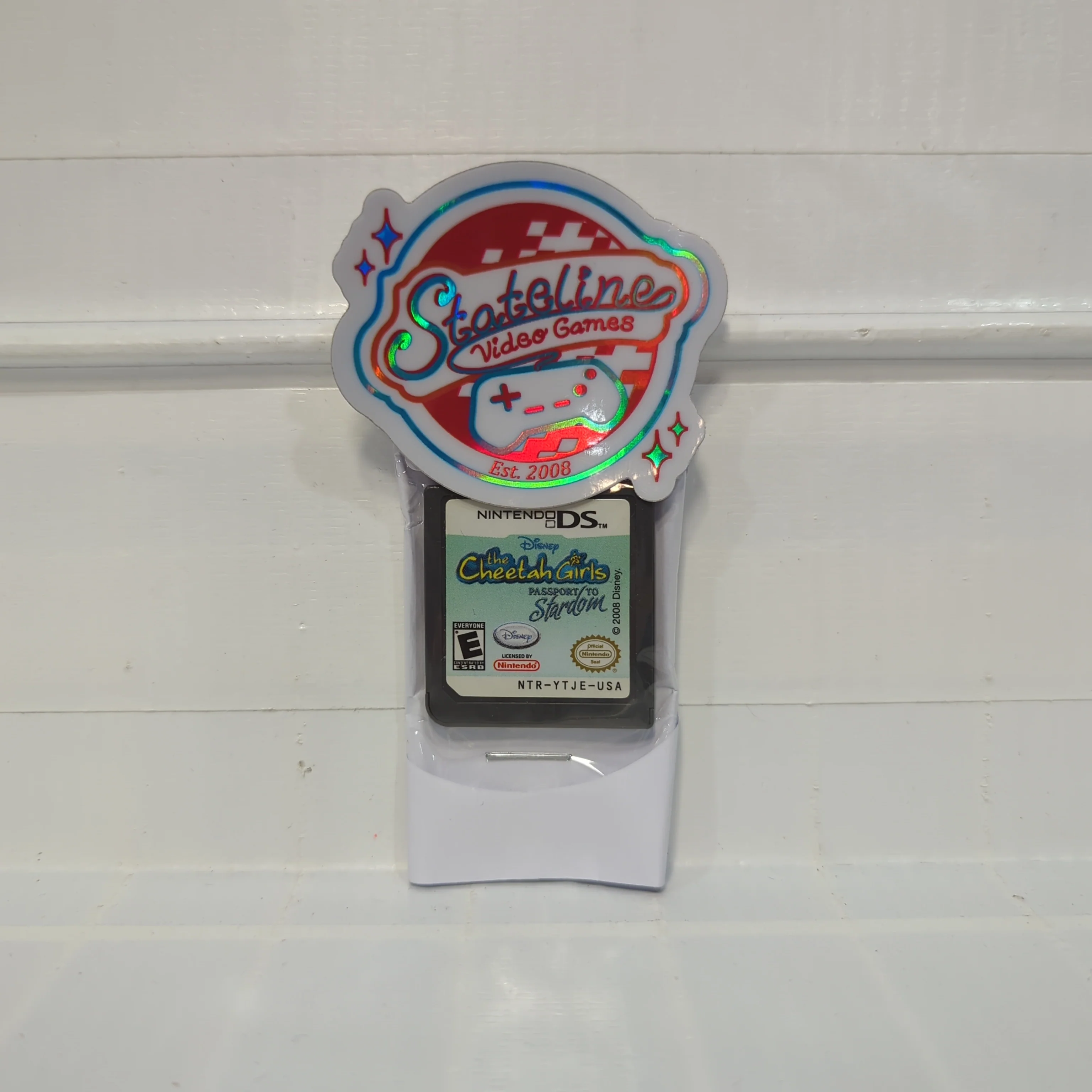 The Cheetah Girls Passport to Stardom - Nintendo DS