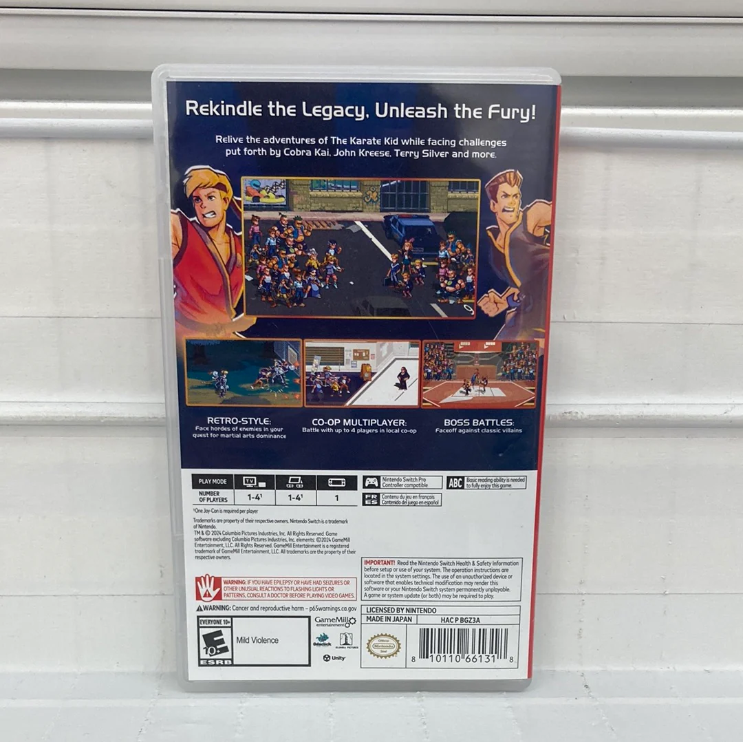The Karate Kid: Street Rumble - Nintendo Switch - Image 2